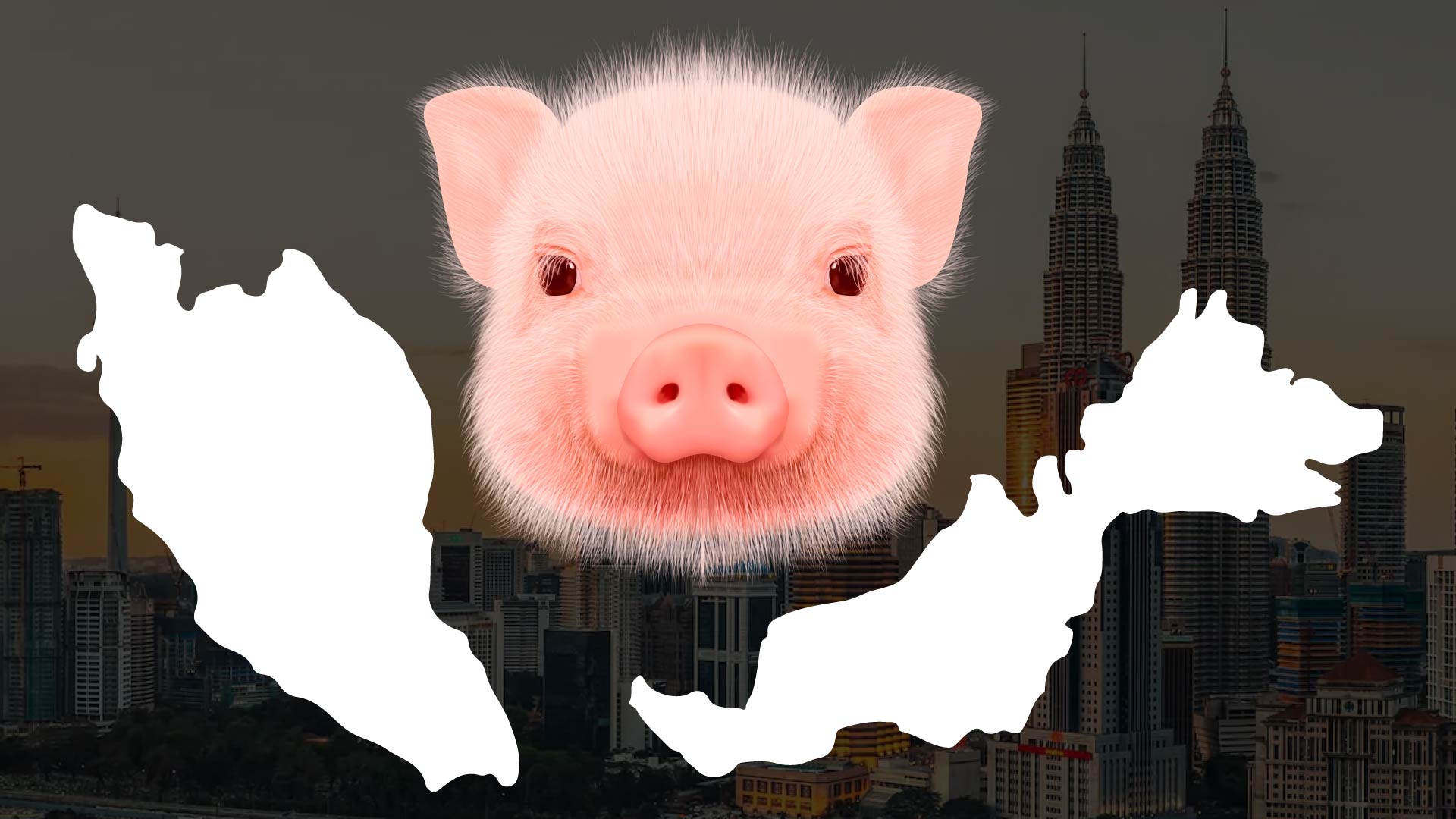 11 Jenis Babi yang Wujud di Malaysia